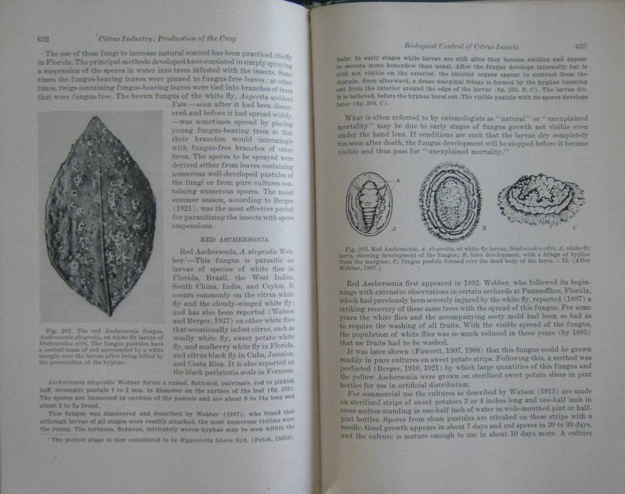 Hulpboek vir Boere in Suid-Afrika. The Citrus Industry