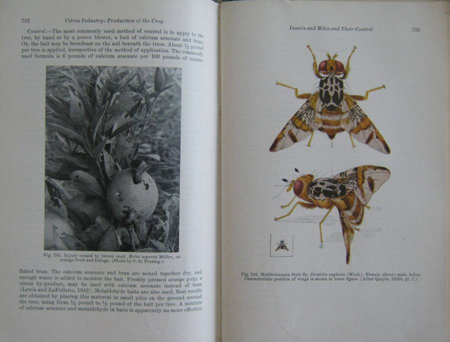 Hulpboek vir Boere in Suid-Afrika. The Citrus Industry