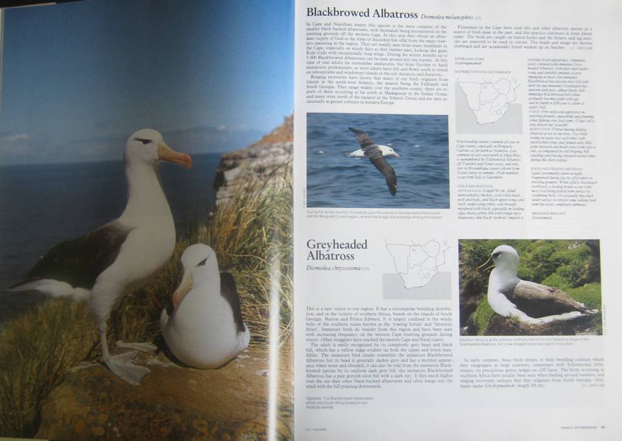 Complete Book of Southern African Birds P J Ginn |W G McIlleron | P le Milsteinn