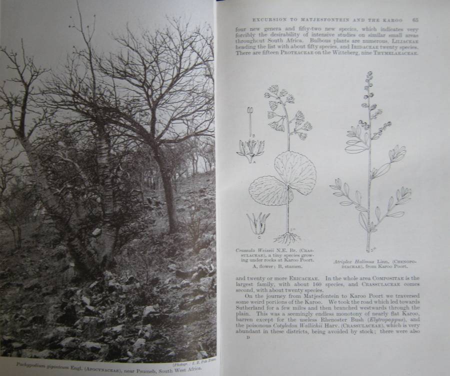 A Botanist in Southern Africa John Hutchinson