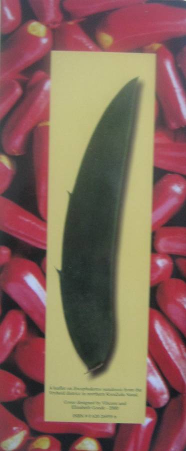 Cycads of Africa Volume 1 Douglas Goode