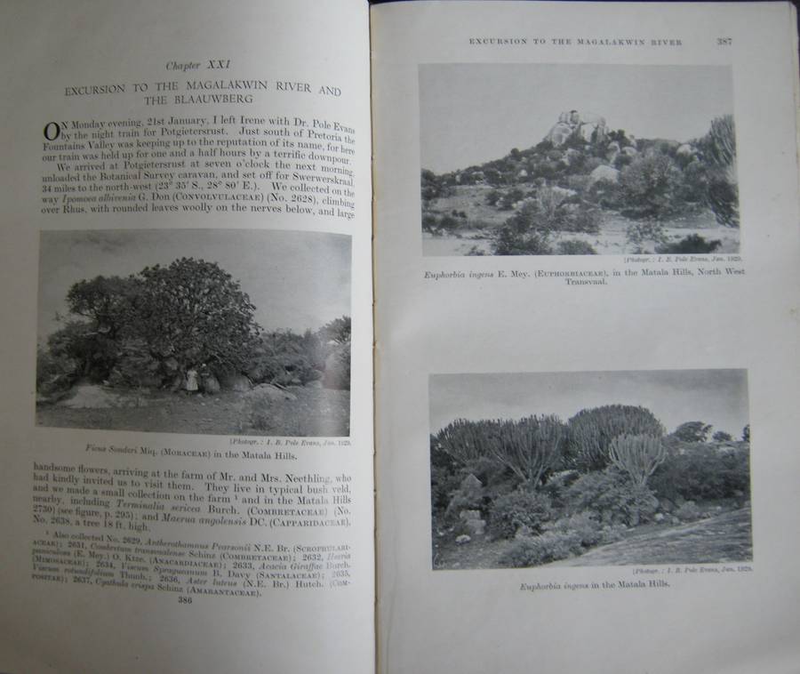 A Botanist in Southern Africa John Hutchinson