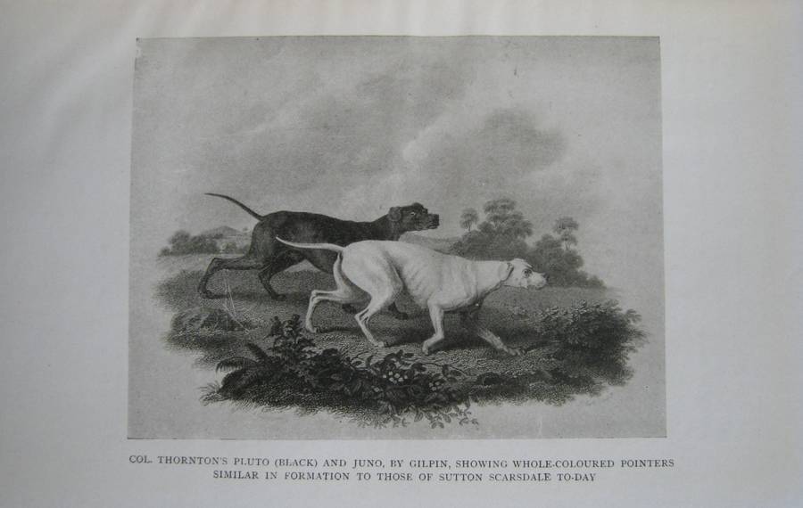 The Complete Shot G T Teasdale-Bucknell