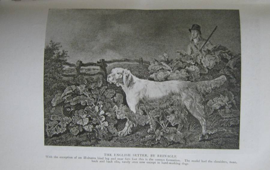 The Complete Shot G T Teasdale-Bucknell