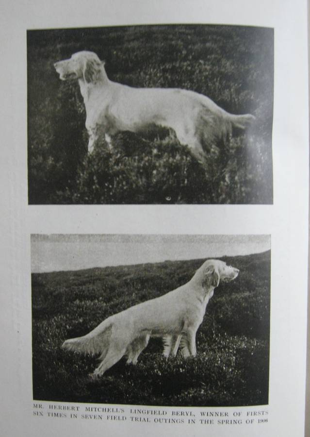 The Complete Shot G T Teasdale-Bucknell