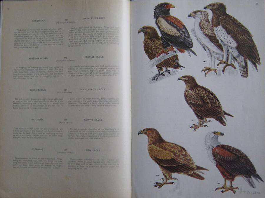Birds of the Kruger and Other National Parks Stevenson-Hamilton Edition