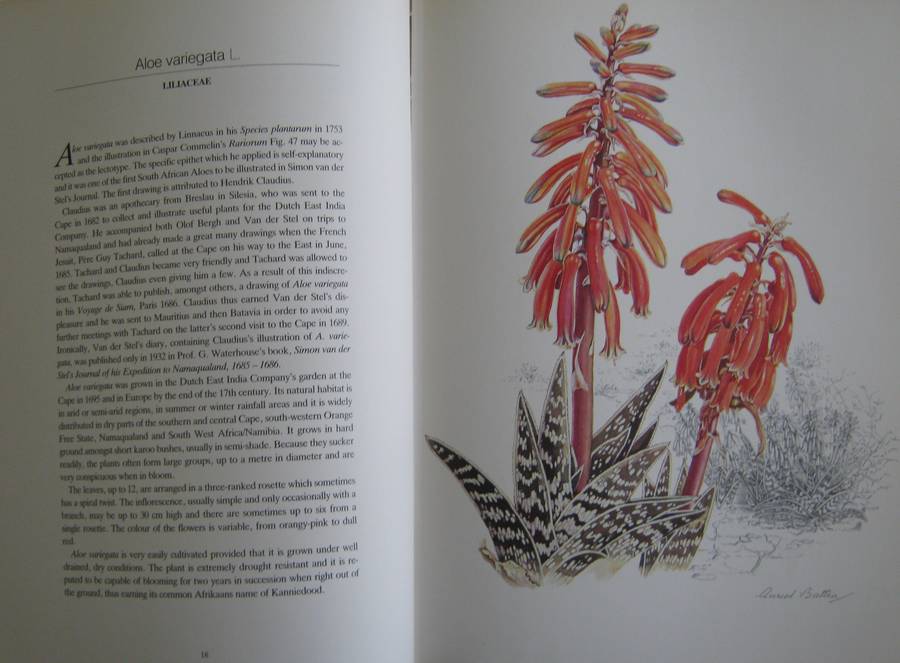 Flowers of Southern Africa Auriel Batten      Publisher: Southern Book Publishers  Edition