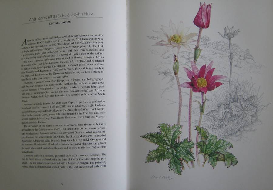 Flowers of Southern Africa Auriel Batten      Publisher: Southern Book Publishers  Edition