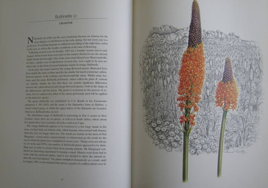 Flowers of Southern Africa Auriel Batten      Publisher: Southern Book Publishers  Edition