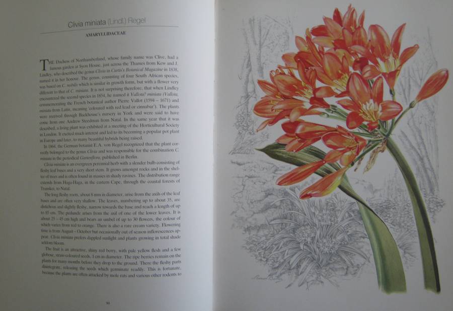 Flowers of Southern Africa Auriel Batten      Publisher: Southern Book Publishers  Edition