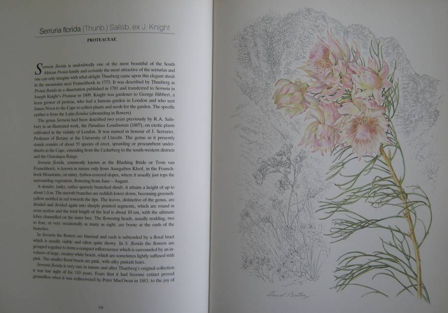 Flowers of Southern Africa Auriel Batten      Publisher: Southern Book Publishers  Edition
