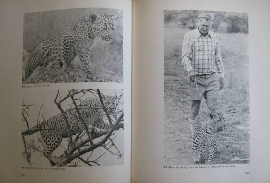 Orphans of the Wild The Story of Chipangali Vivian J Wilson        Publisher: Books of Rh