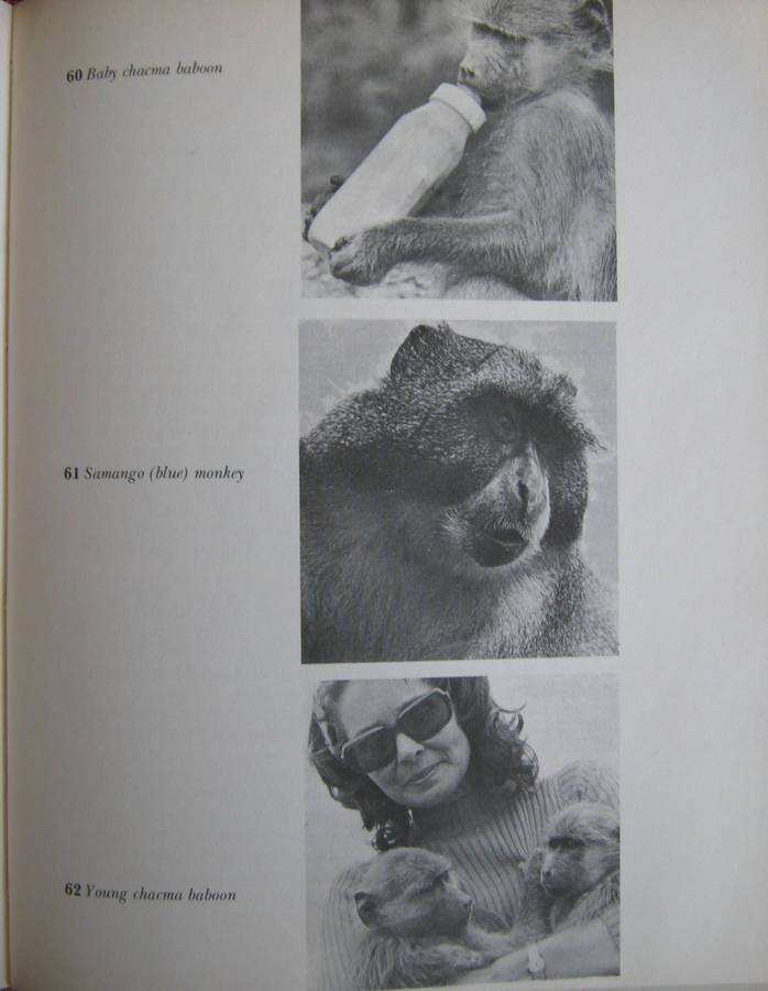 Orphans of the Wild The Story of Chipangali Vivian J Wilson Signed