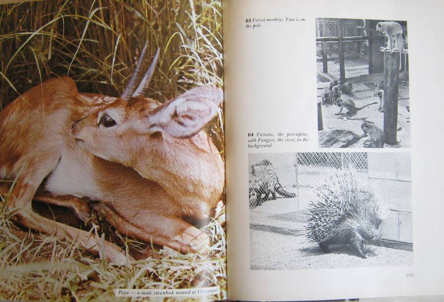 Orphans of the Wild The Story of Chipangali Vivian J Wilson        Publisher: Books of Rh