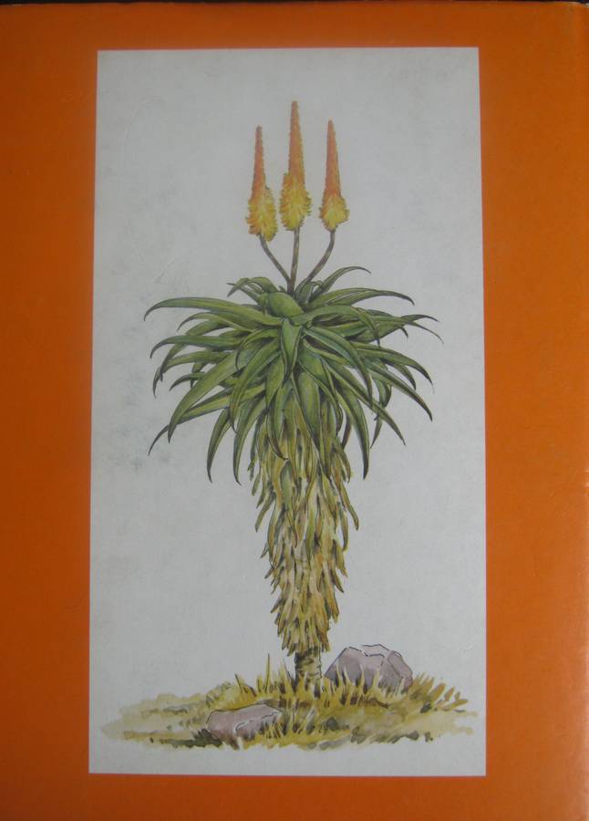 South African Aloes Barbara Jeppe