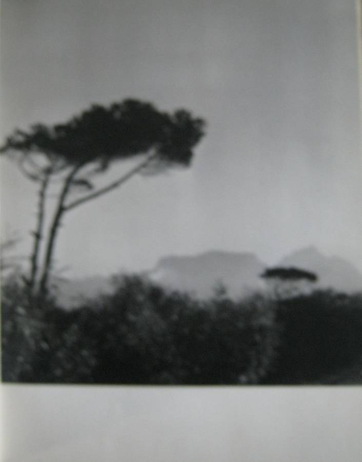 Portrait of South Africa Hans Reich