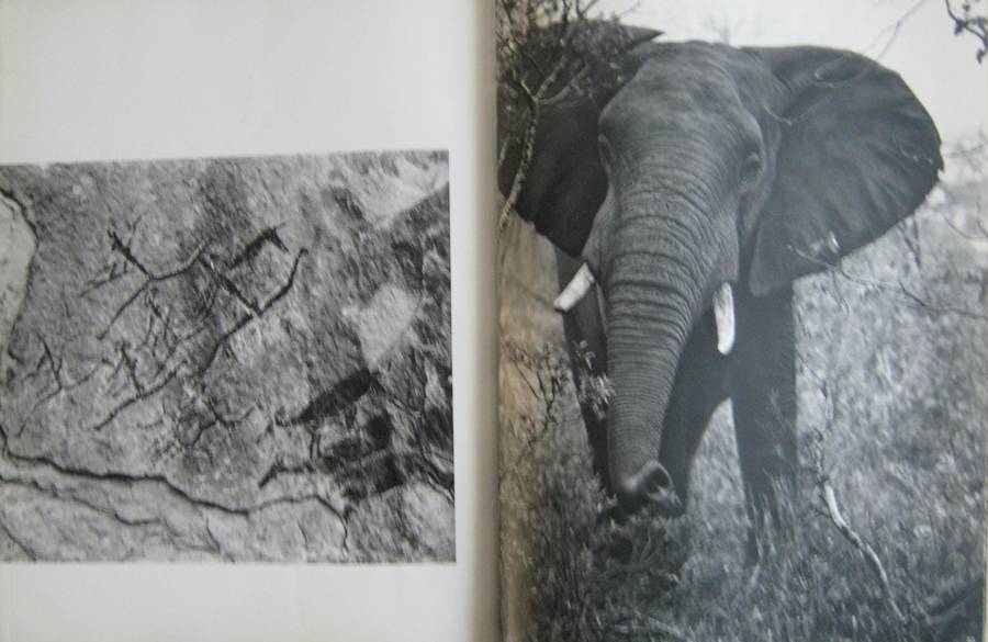 Portrait of South Africa Hans Reich