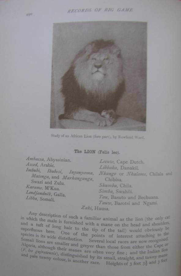 Rowland Ward Records of Big Game with their Distribution , Characteristics, Dimensions & Weights