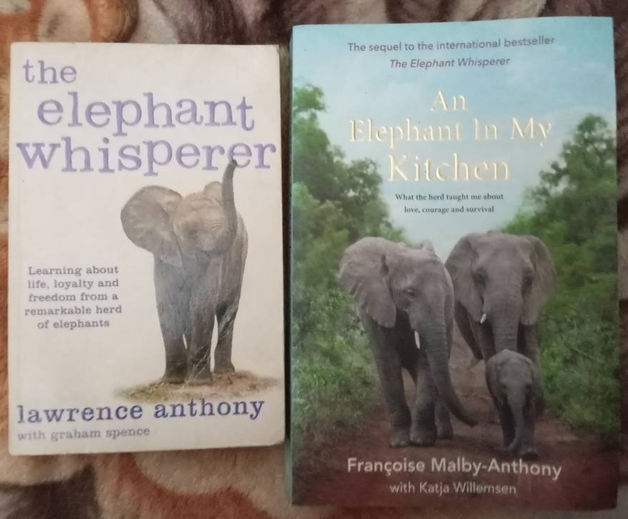 An Elephant in my Kitchen & the Elephant whisperer