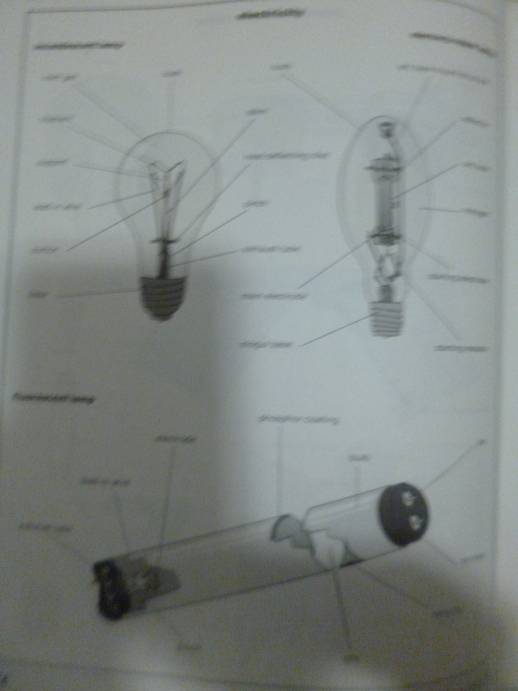 The Facts on File Visual Dictionary