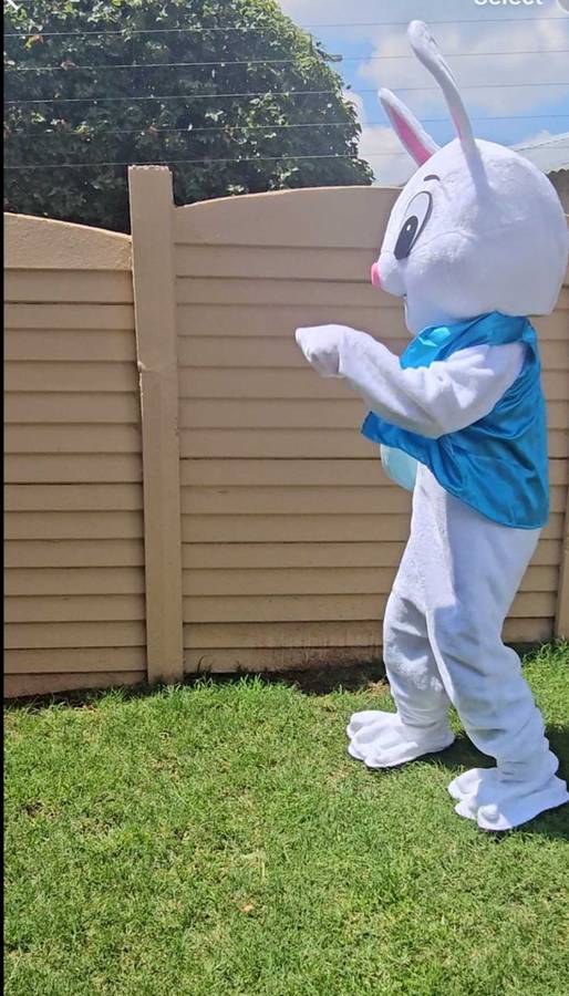 Easter Bunny Mascot