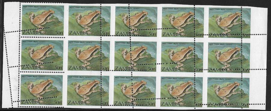 Zambia large block (x15) 50n perforation shift.