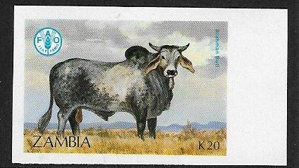 Zambia variety imperforated K20 value.