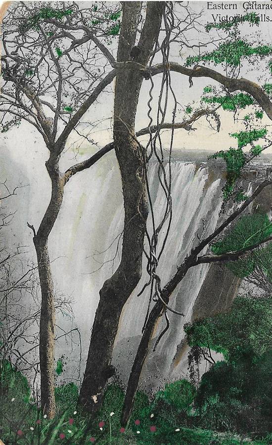 British South Africa Company Victoria Falls, unused postcard.