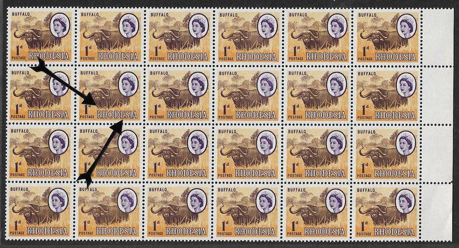 Rhodesia variety hole in buffalo, slight shift causing double effect on wording and broken E.