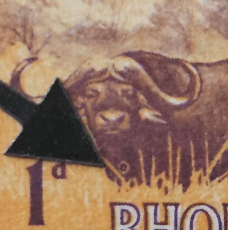 Rhodesia variety hole in buffalo, slight shift causing double effect on wording and broken E.
