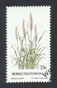 1984 BOPHUTHATSWANA INDIGENOUS GRASS