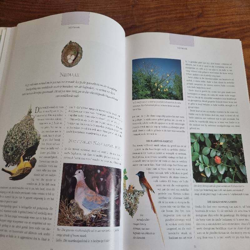 Lok Voels na jou Tuin in Suider-Afrika - Roy Trendler & Lex Hes