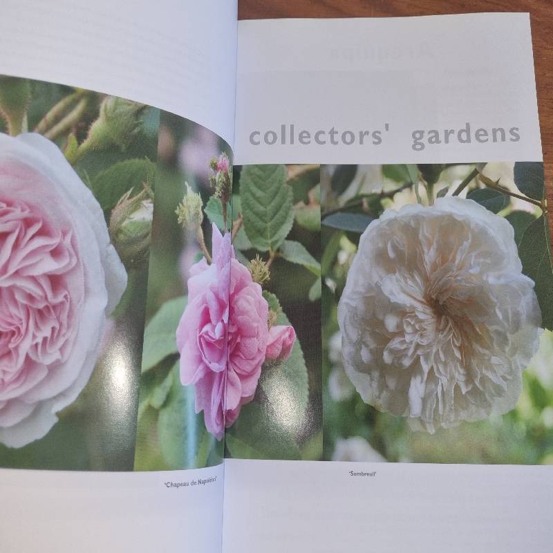 Veld, Vlei & Rose Gardens - Inspiration from South African Gardeners