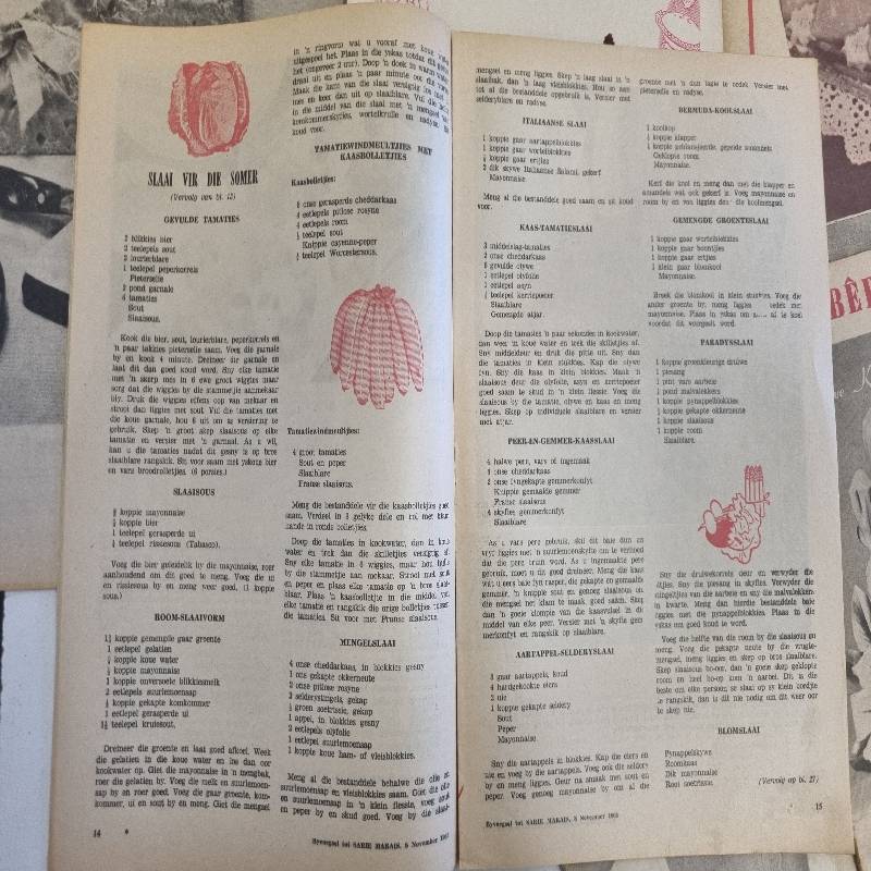 12 x Vintage Sarie Bêreboekies - Vol resepte, patrone en idees - 1950's en 1960's
