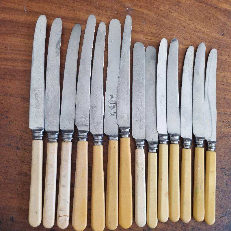 14 x Vintage Bone Handle Knives
