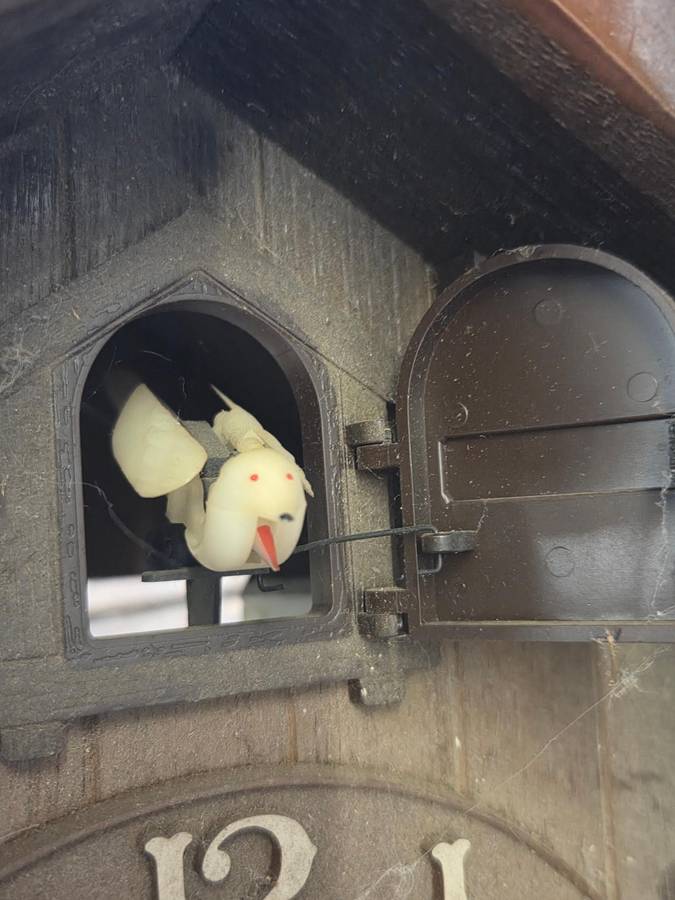 Rhythm Japan Battery Cuckoo Clock - Selling for parts or restoration - See pictures for condition