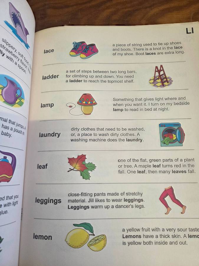 Children's Illustrated Dictionary