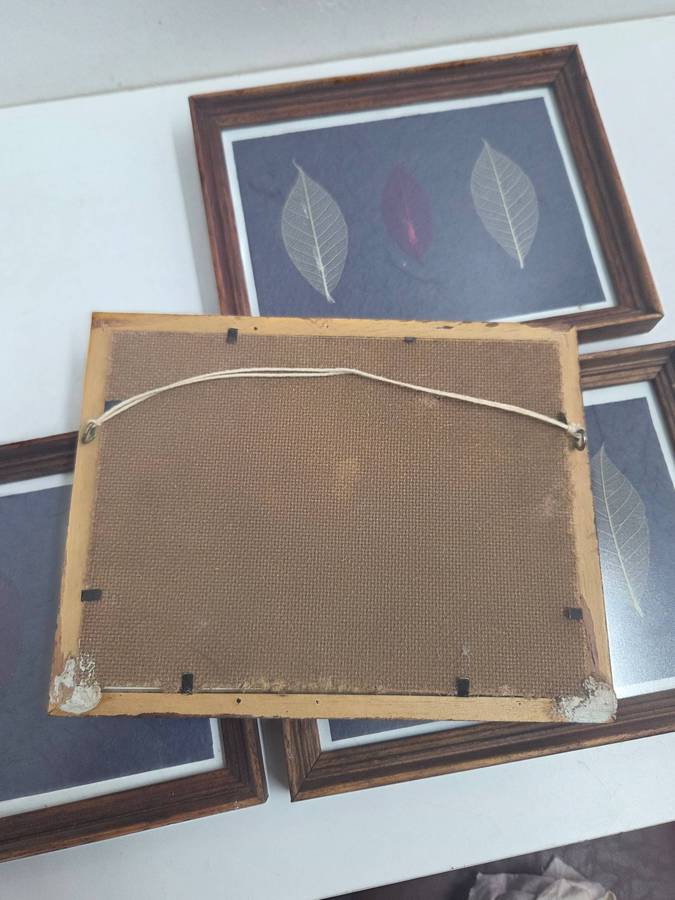 4 x Framed art with leaf detail in wooden frames - each measures 22cm x 17cm - R120 for the set of 4
