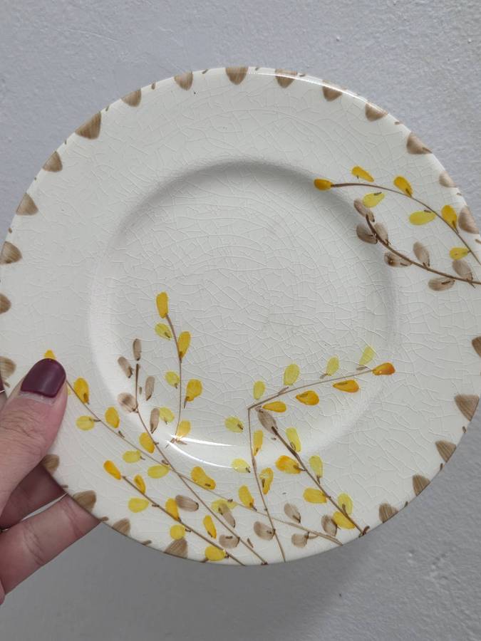 Vintage Myott, Son & Co. England Side Plate - Hand Painted