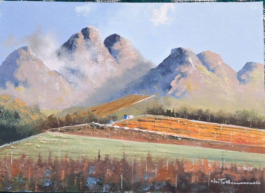 Neil janse Van Nieuwenhuizen Oil on Canvas on Board 35 x 25 cm