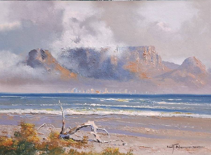 Neil janse Van Nieuwenhuizen Oil on Canvas on Board 35 x 25 cm ORIGINAL