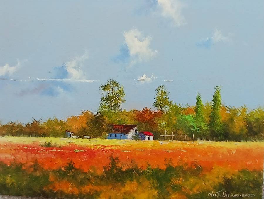 Neil janse  Van Nieuwenhuizen Oil on Canvas on Board 40 x 30 cm