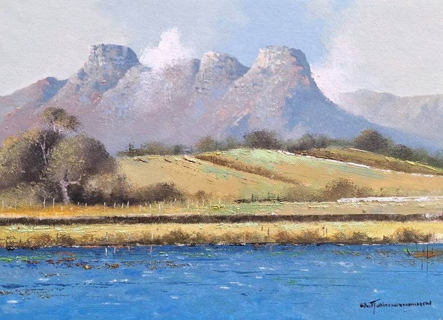 Neil janse Van Nieuwenhuizen Oil on Canvas on Board 35 x 25 cm