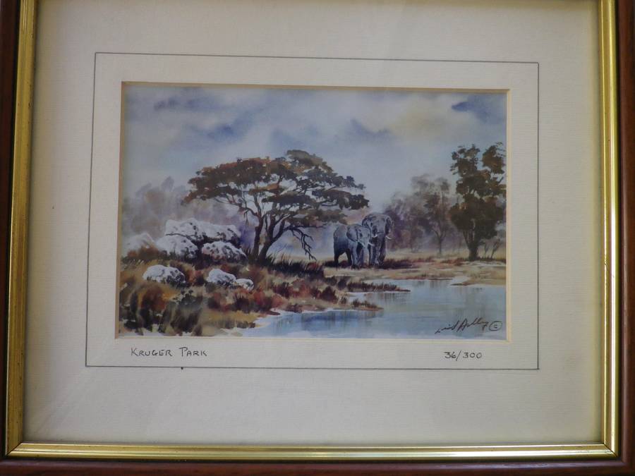 PAIR KRUGER NATIONAL PARK FRAMED Limited Edition SIGNED PRINTS 27x 22cm