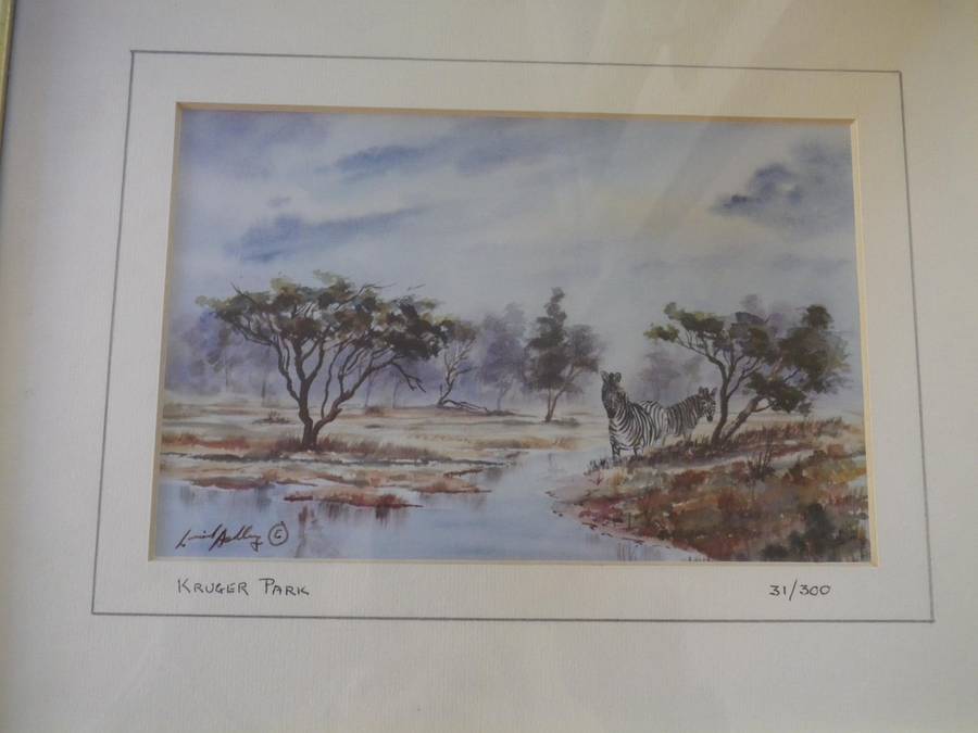 PAIR KRUGER NATIONAL PARK FRAMED Limited Edition SIGNED PRINTS 27x 22cm