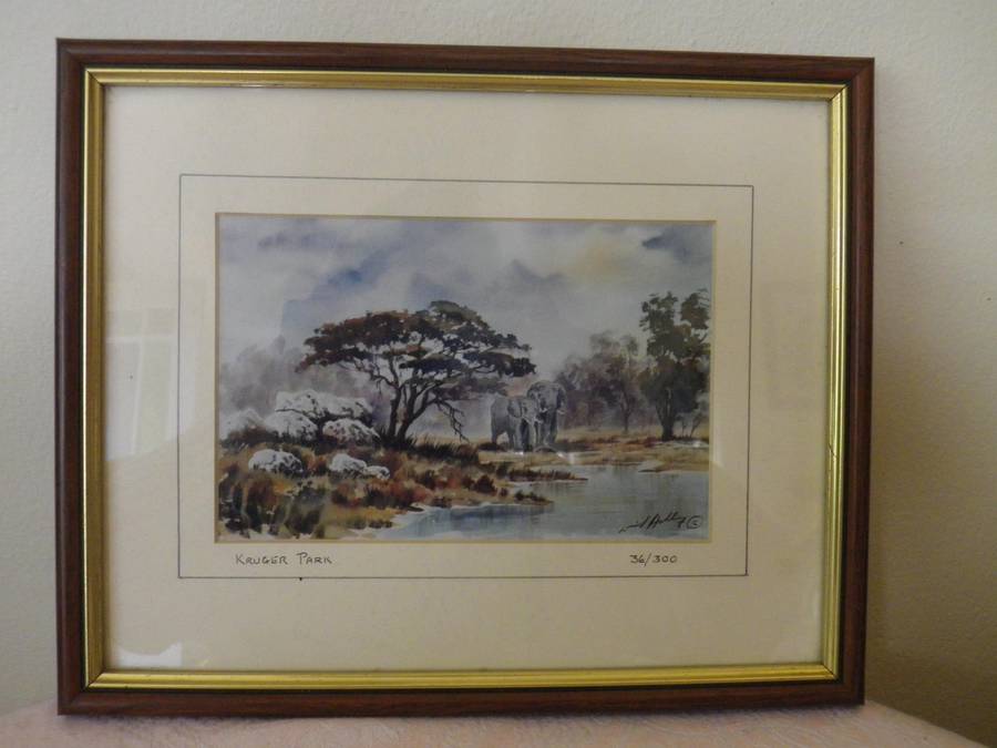 PAIR KRUGER NATIONAL PARK FRAMED Limited Edition SIGNED PRINTS 27x 22cm