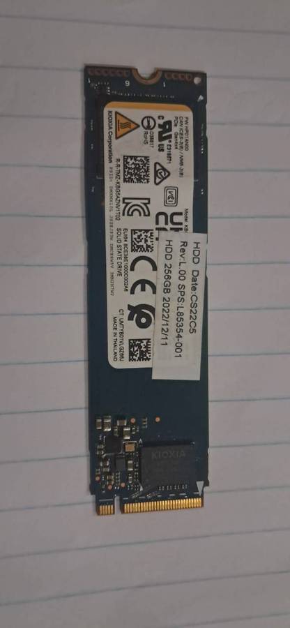 KIOXIA 256GB NVME SSD