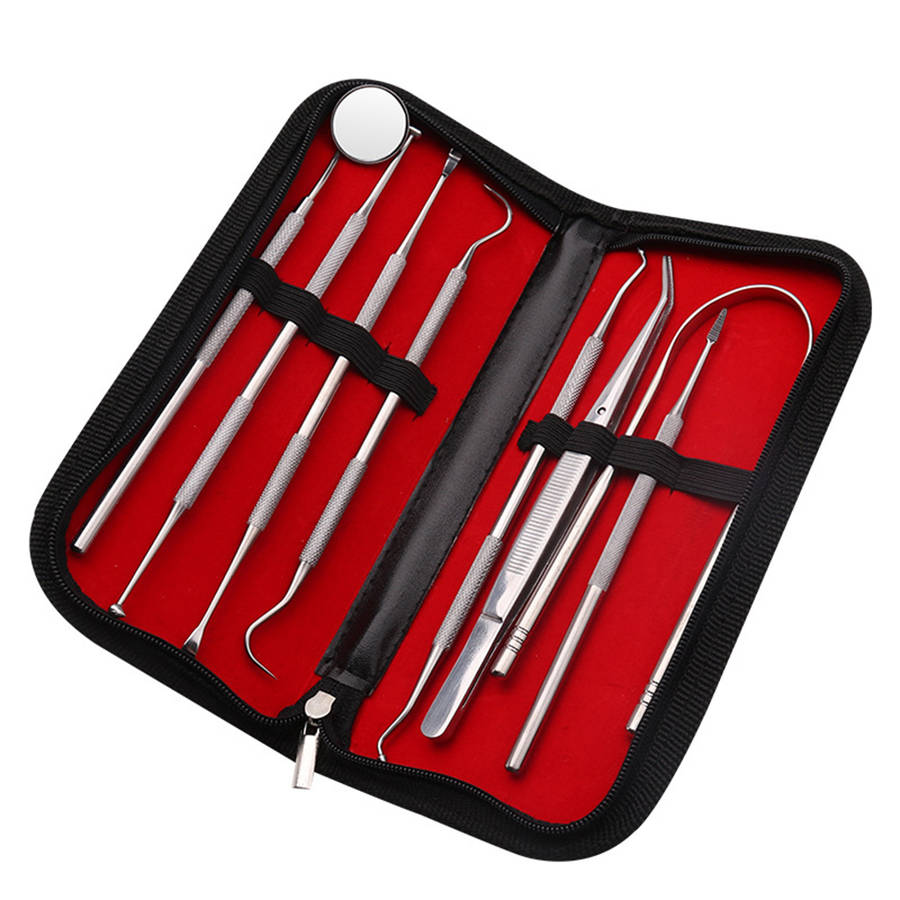8 in 1 Professional Stainless Steel Dental Tools Kit