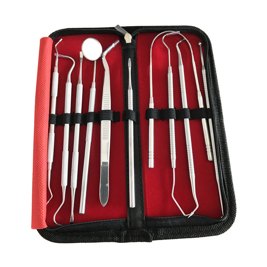 10 in 1 Professional Stainless Steel Dental Tools Kit