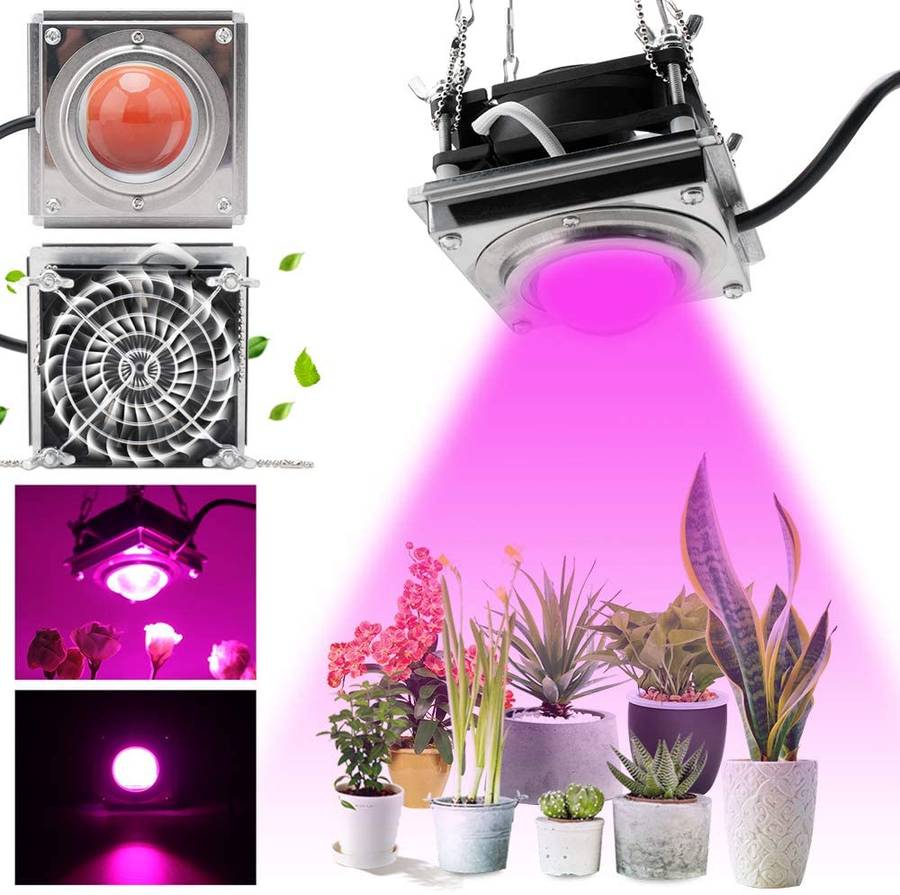 LED Full Spectrum Grow Light for Indoor Plants with Rear Fan Hooks